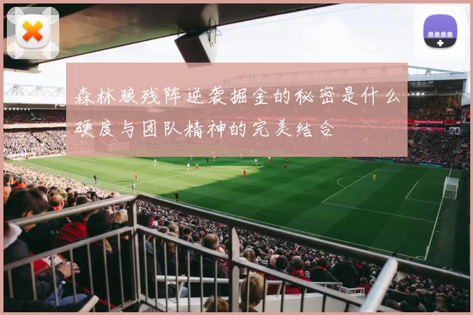 森林狼残阵逆袭掘金的秘密是什么硬度与团队精神的完美结合